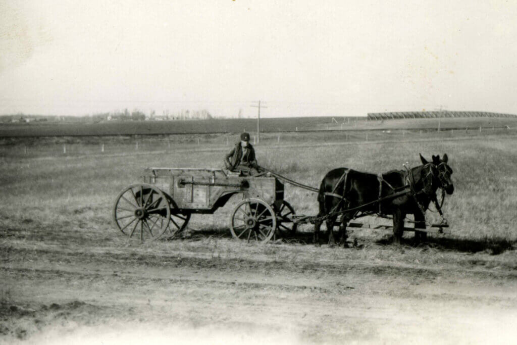 1919