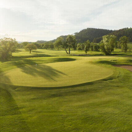 Golf course green on a sunny day